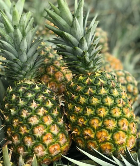 Piña Sweet Baby MB2 extra dulce