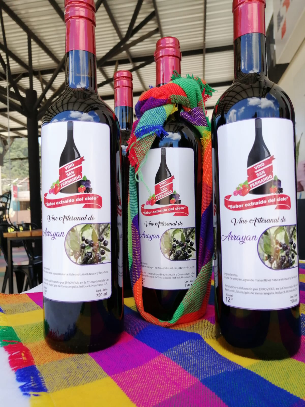 Vinos San Fernando banner
