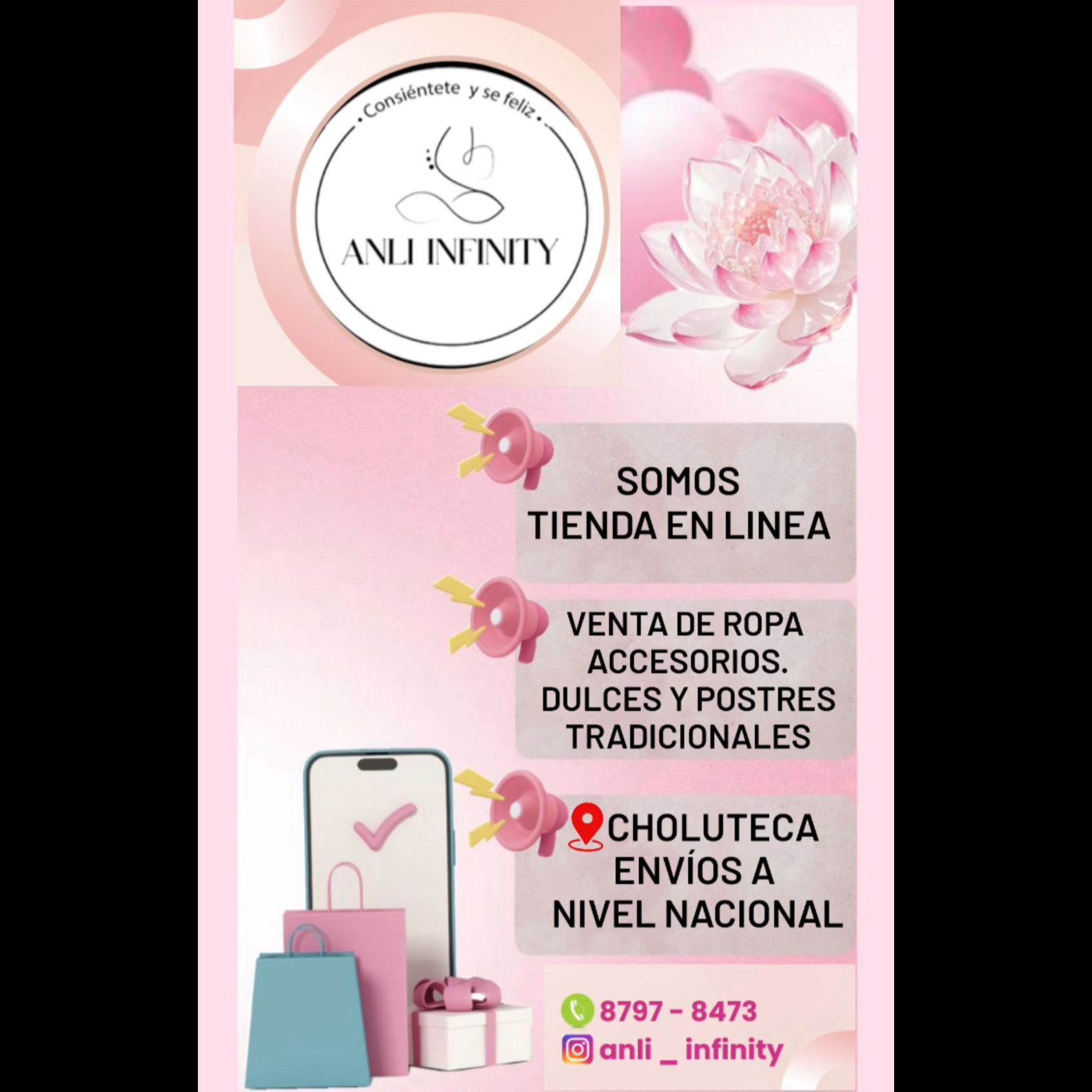 INVERSIONES ANLY INFINITY